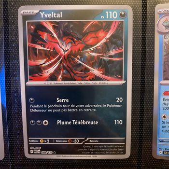 Carte Pokémon holographique yveltal