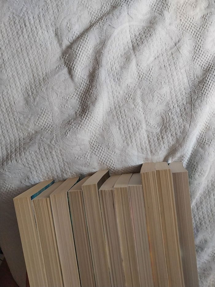 Romans Les Héritiers d'Enkidiev tomes 1 à 6 + 8 à 10 + 12 + Les Chevaliers d'Antarès 1 Anne Robillard - photo numéro 5