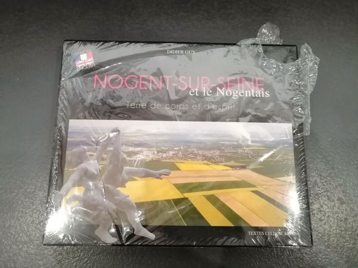 Nogent sur seine et le nogentais