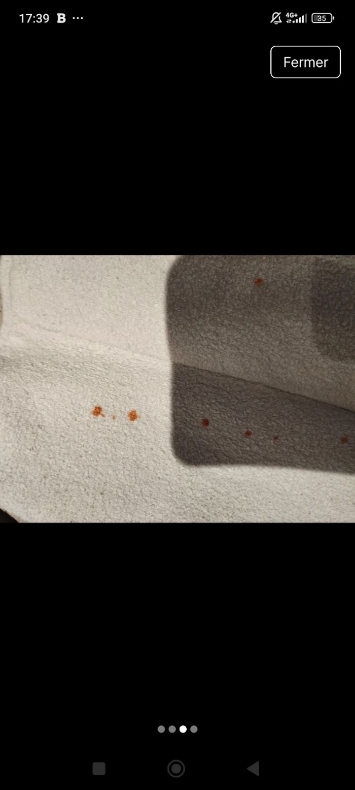 Inserts bambou - photo numéro 3