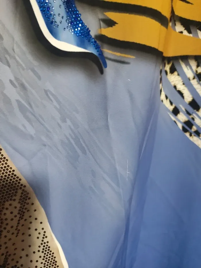 Robe algérienne habillée, à strass neuve, taille 46 - photo numéro 8