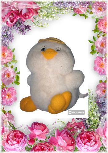 💫🌸Peluche 🌸💫