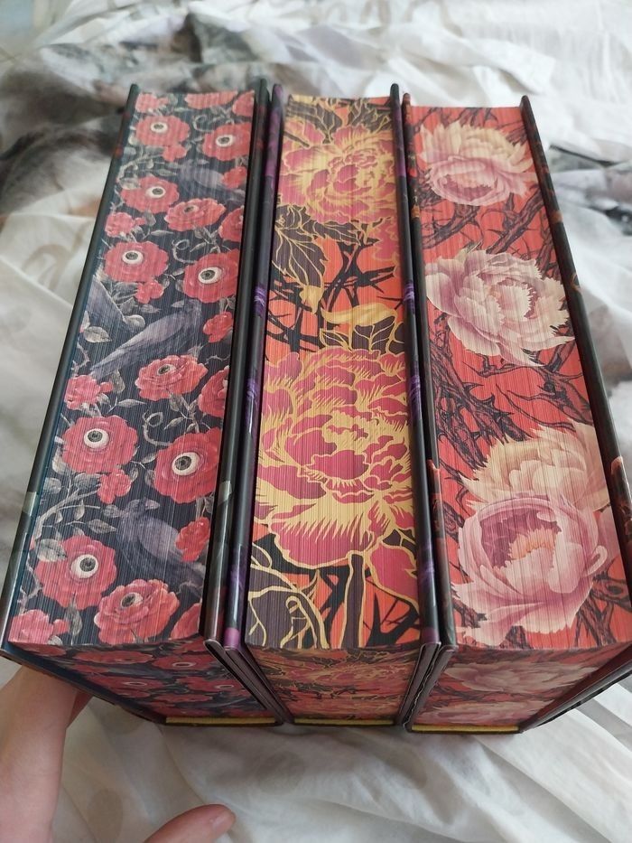 Romans Le Royaume des Corbeaux tomes 1 à 3 Reliés Collectors Olivia Wildenstein Korrigan - photo numéro 3
