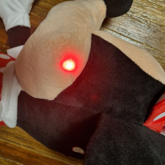 MINNIE géante - photo numéro 6