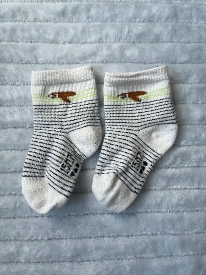 Lot de 5 paires de chaussettes TAO 15/17 - photo numéro 3