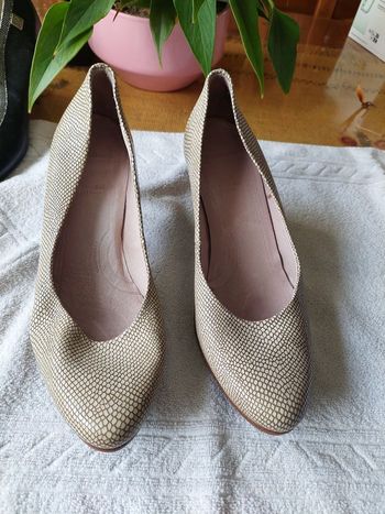 Escarpin Wonders en 40