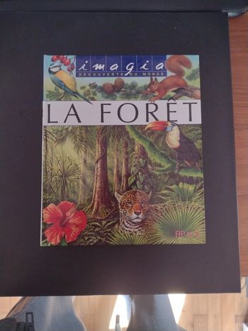 Imagination. La forêt