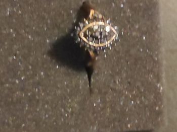 Bague diamants noirs