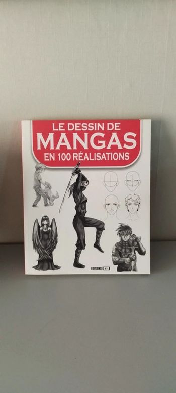 Le dessin de Mangas en 100 réalisation