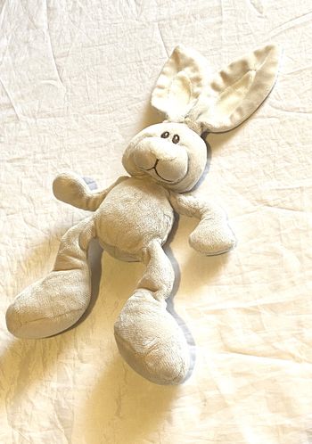 Petit Lapin Beige Doudou Intérieur Oreilles Museau Blancs Animal Faune Peluche Petits Enfants Bébés