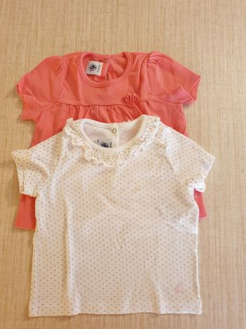 Lot de 2 t-shirts Petit Bateau