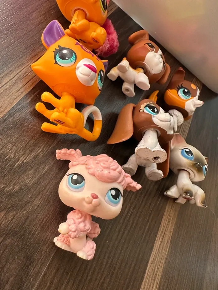 Lot petshop - photo numéro 3