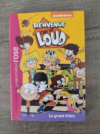 Livre Bienvenue chez les Loud " le grand frère " numéro 3