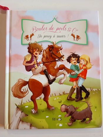 Boules de poils et compagnie : un poney à sauver