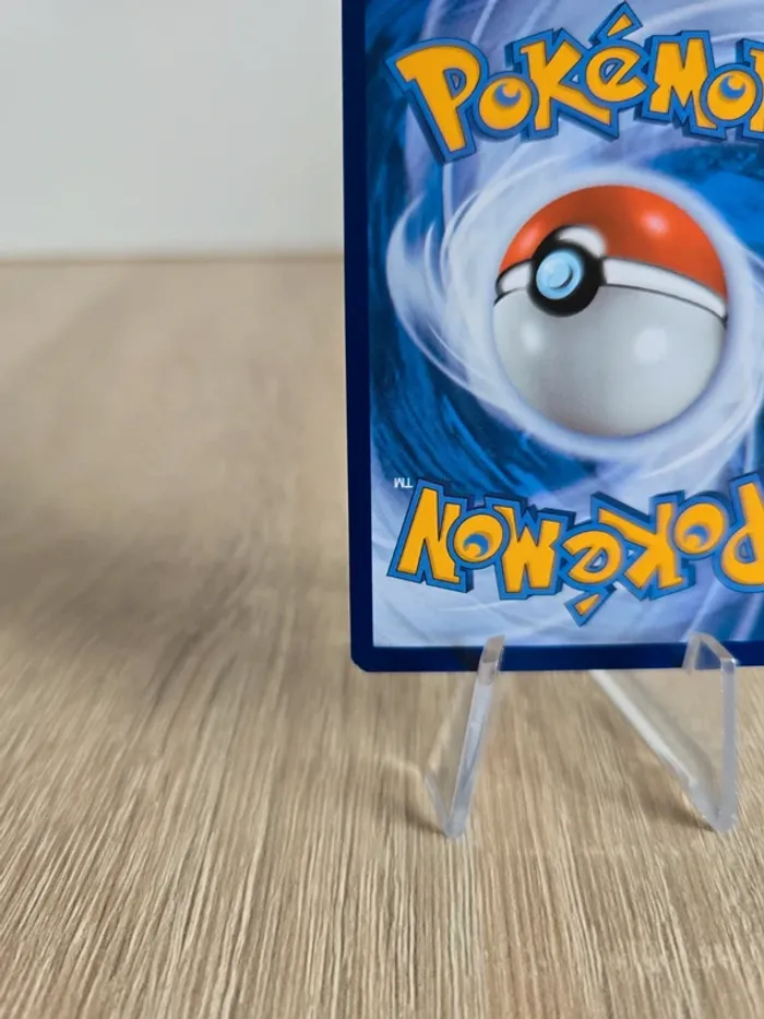 Dimoret SWSH246 - photo numéro 10