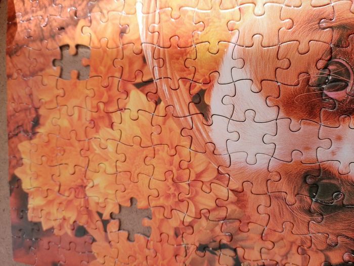 Puzzle chat et chien 500 pièces - photo numéro 4