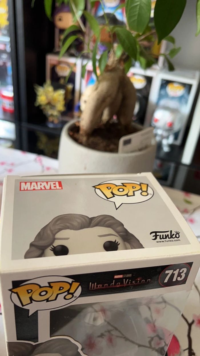 Pop Wanda vision - photo numéro 5