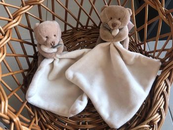 Doudou ours doudou et compagnie