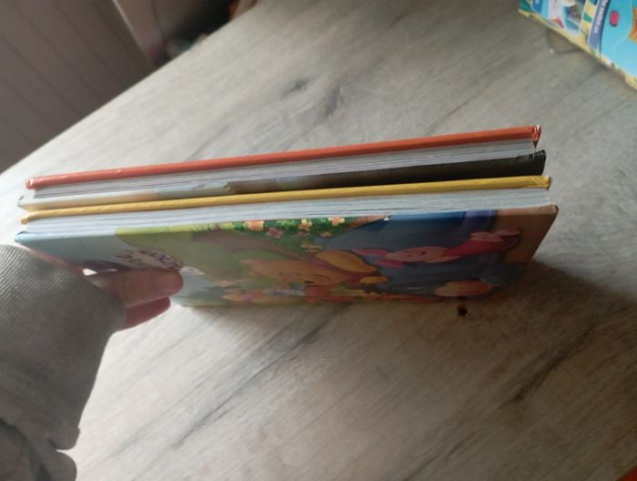 Lot livre disney - photo numéro 4