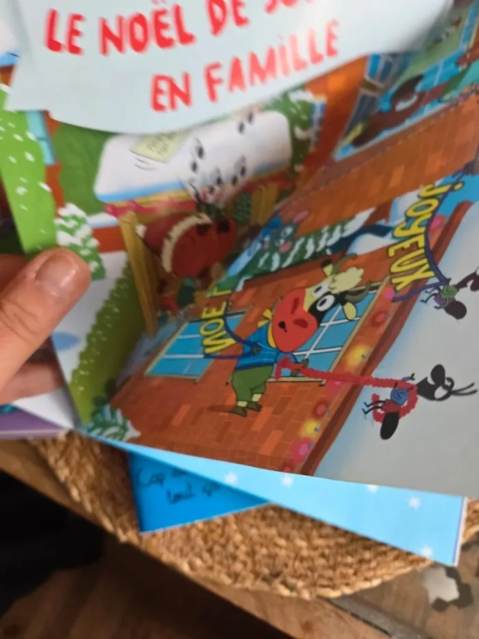 Lot de 5 Tobbogans. Dès 6 ans - photo numéro 10