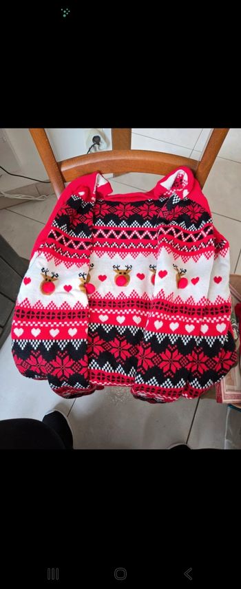Pull de noël