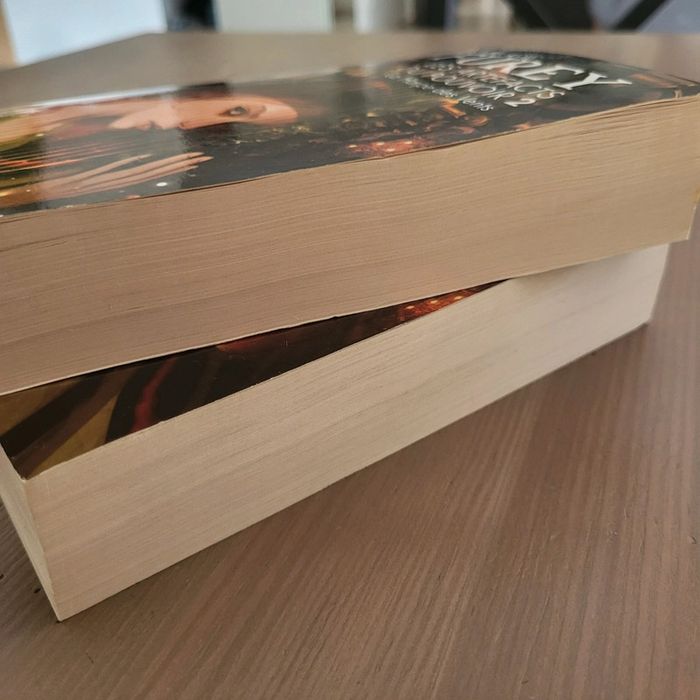 Les artefacts du pouvoir Tomes 1 et 2 - Maggie Furey - photo numéro 4