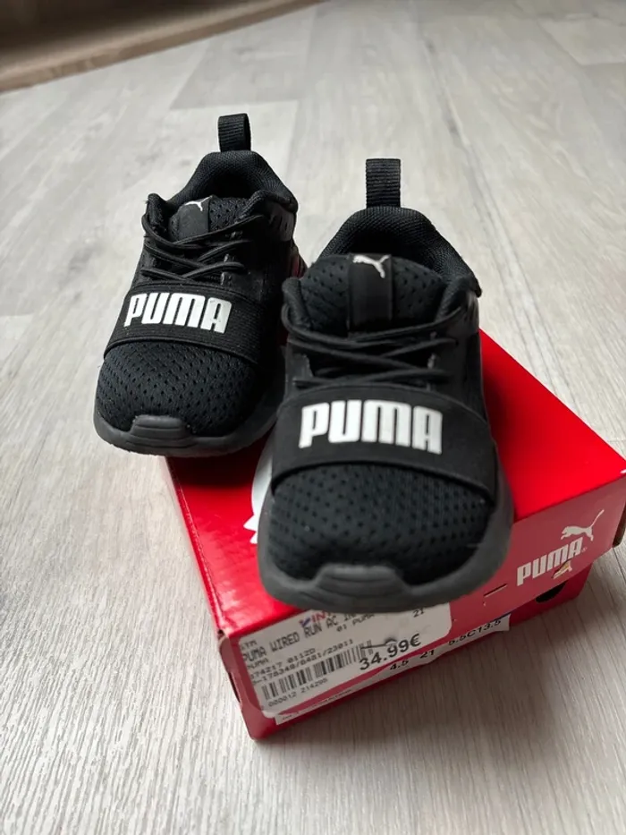 Puma noires - photo numéro 2
