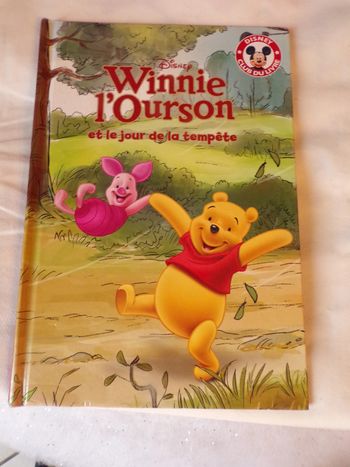 Livre Disney club du livre Winnie l'ourson et le jour de la tempéte