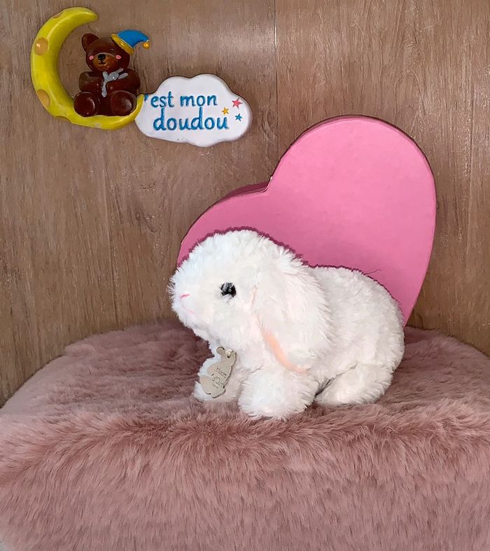 HD77 doudou lapin 🐰 histoire d’ours