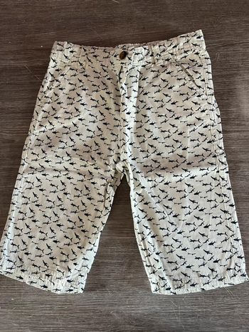 Short neuf requin