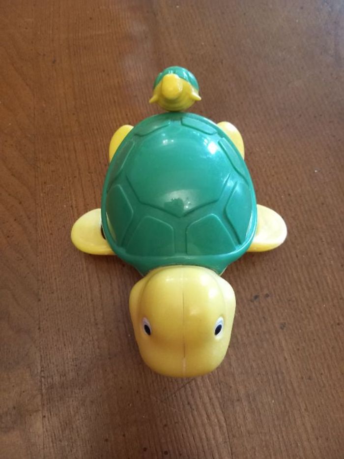 Tortue avec bébé