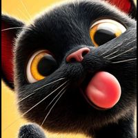 profil