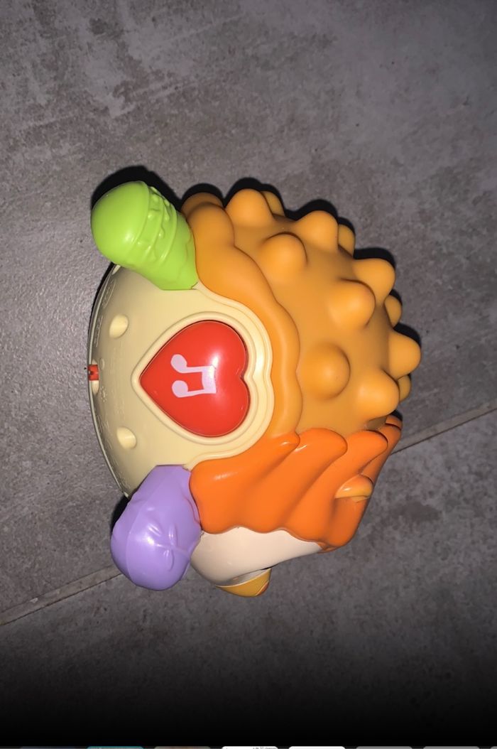 Picoton le hérisson - photo numéro 2