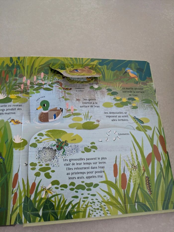 Livre collection les p'tits curieux Usborne La nature - photo numéro 3