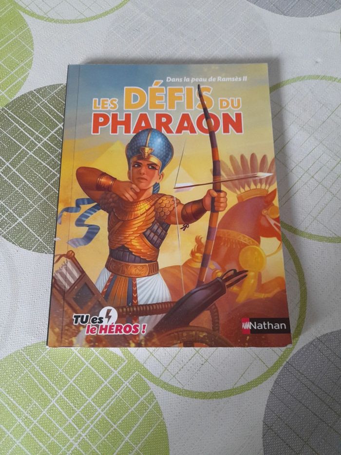 Livre dont tu es le héros : les défis du pharaon