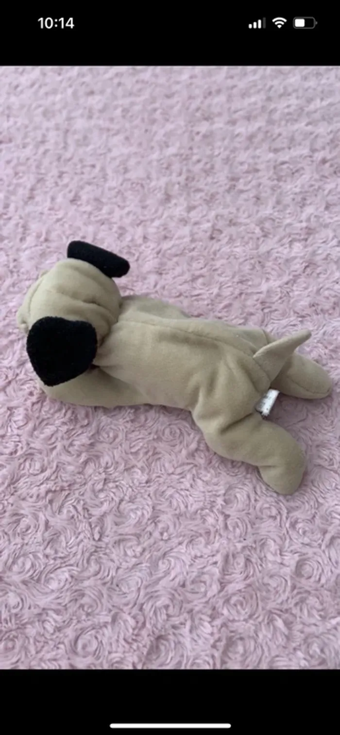 Peluche chien - photo numéro 3