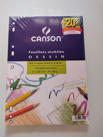 Feuilles à dessin Canson