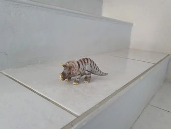 Dinosaure schleich