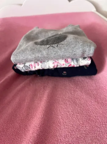 Lot de 3 robes manches longues taille 18 mois