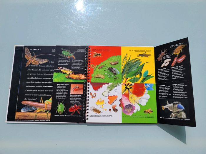 🦗 Mille Milliards d'insectes 🪳livre animé Gallimard Jeunesse (73) - photo numéro 8
