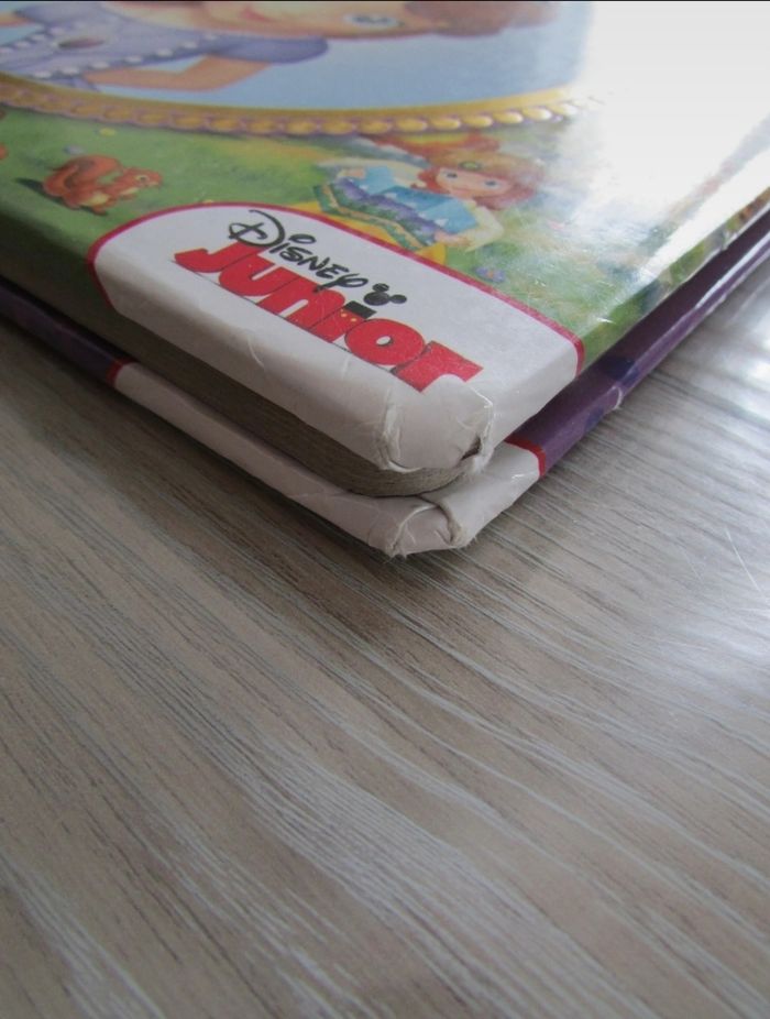 Livre Cherche et trouve Disney Princesse Sofia - photo numéro 4