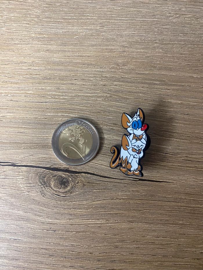 Pins minus et cortex - photo numéro 3