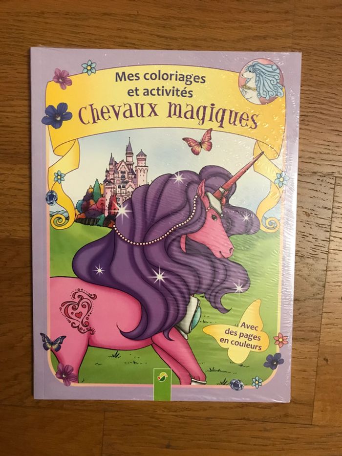 Mes coloriages et activités « Chevaux magiques »