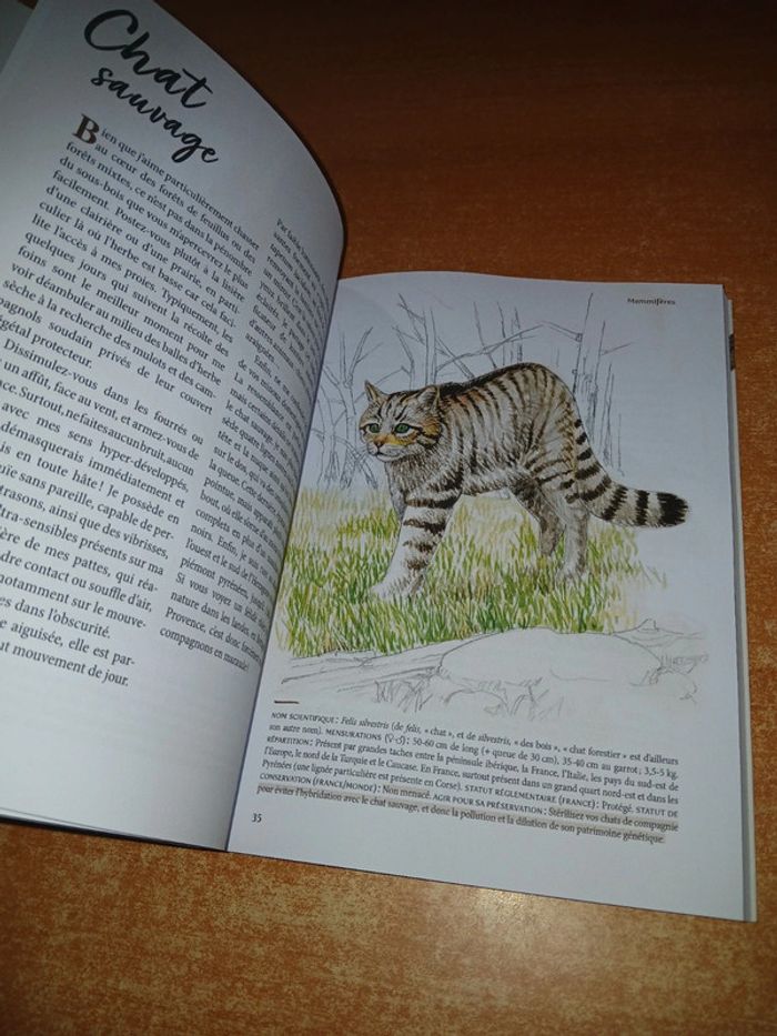 Nous les animaux des campagnes - photo numéro 6