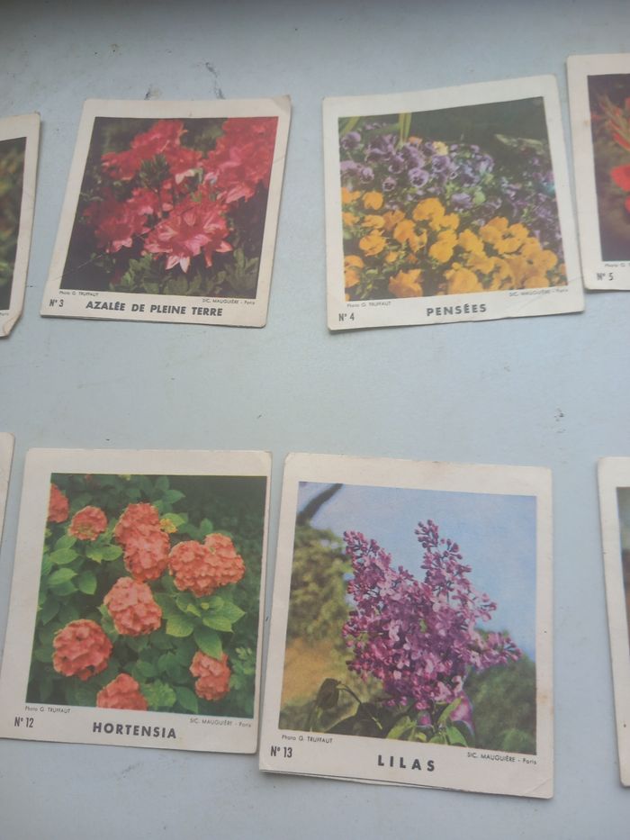 Anciennes images biscottes Reinette - photo numéro 3