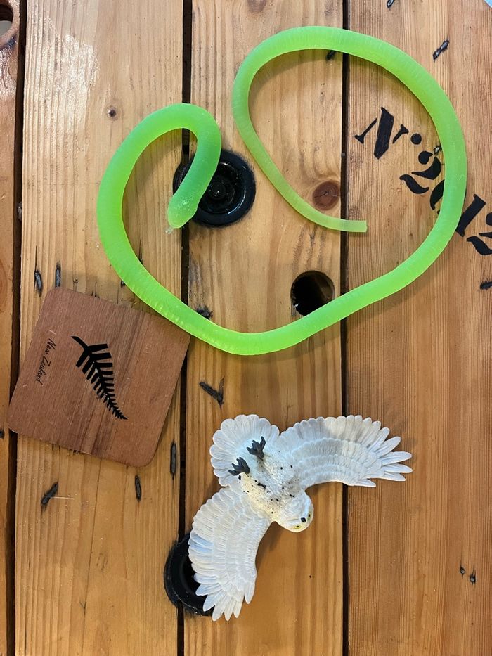 Animaux - photo numéro 3