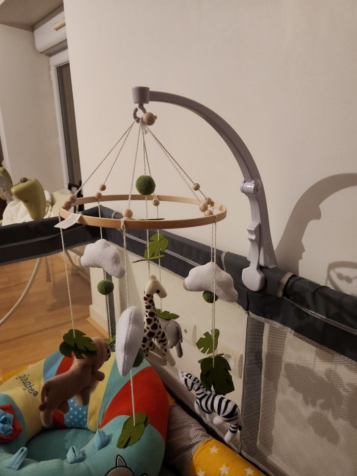 Mobile safari - photo numéro 2