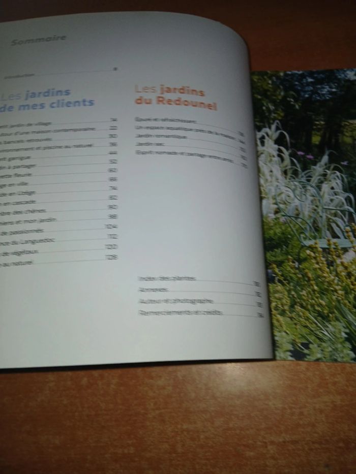 Un jardin sans arrosage - photo numéro 6