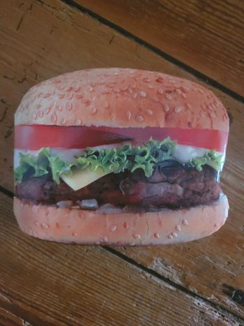 Livre Burgers Hamburgers Larousse cadeau original recettes cuisine Amérique usa