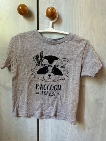 T-shirt racoon